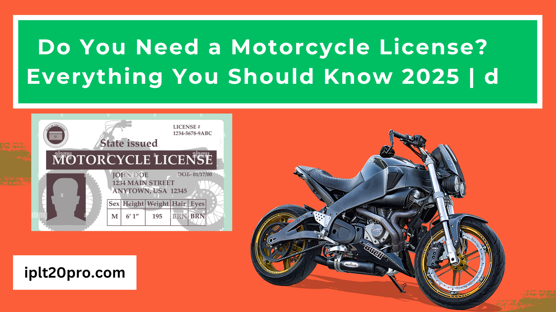 Do You Need a Motorcycle License? Everything You Should Know 2025 | do you need a motorcycle license